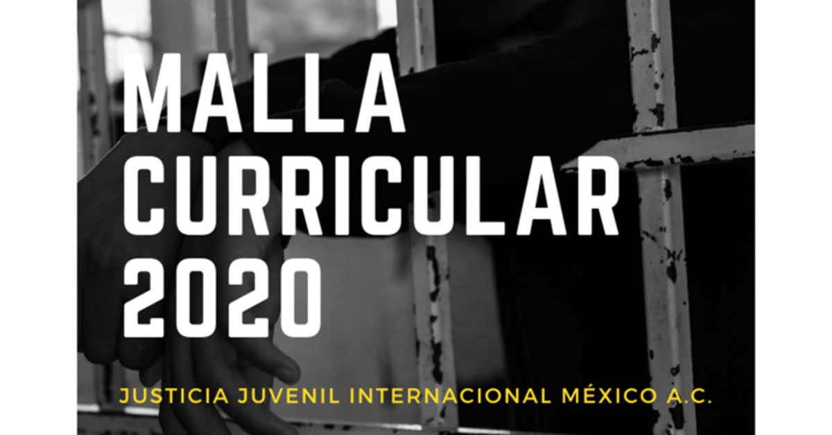 Malla curricular 2020: Cursos de especialización para operadores del sistema de justicia para adolescentes