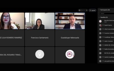 Virtual hearings and good practices