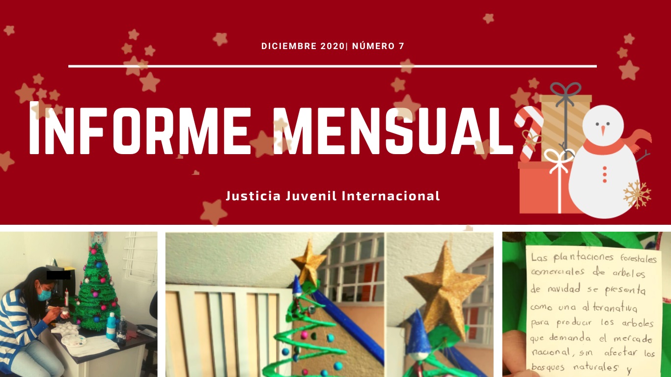 Informe diceembre2020 JJI