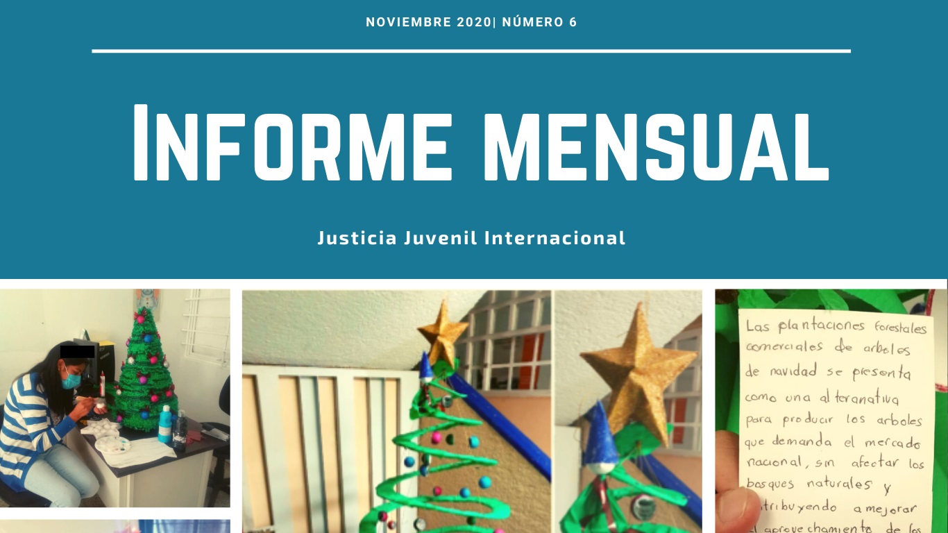 Informe noviembre 2020 JJI