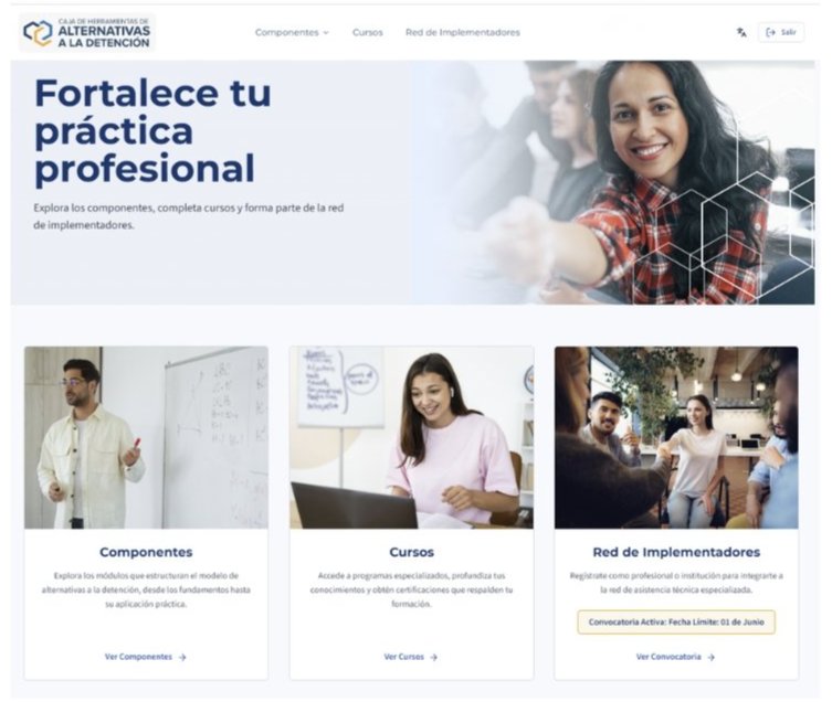Alternatives to Detention Toolkit website preview