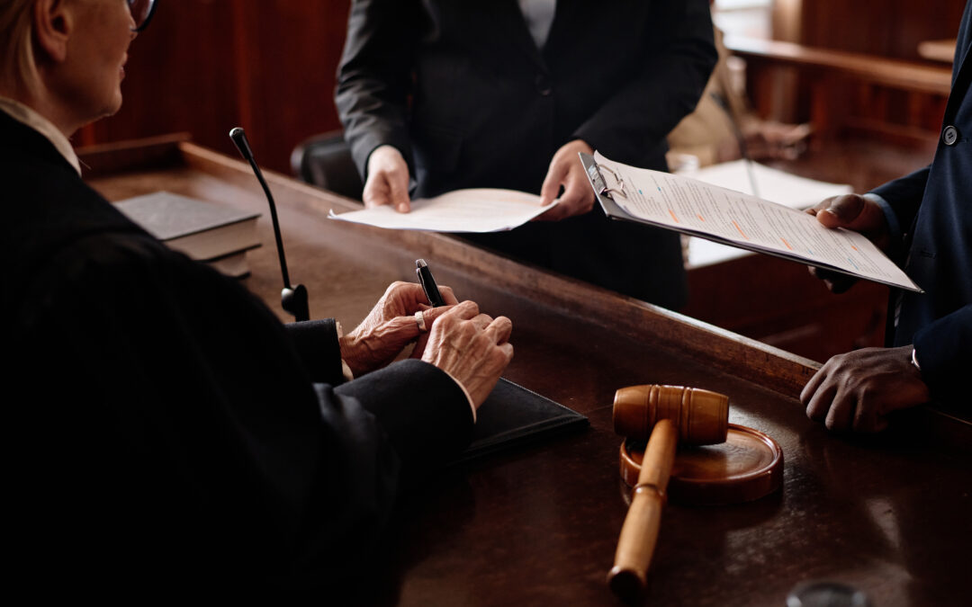 Alternativas a la detención Componente II: Efectividad del Proceso